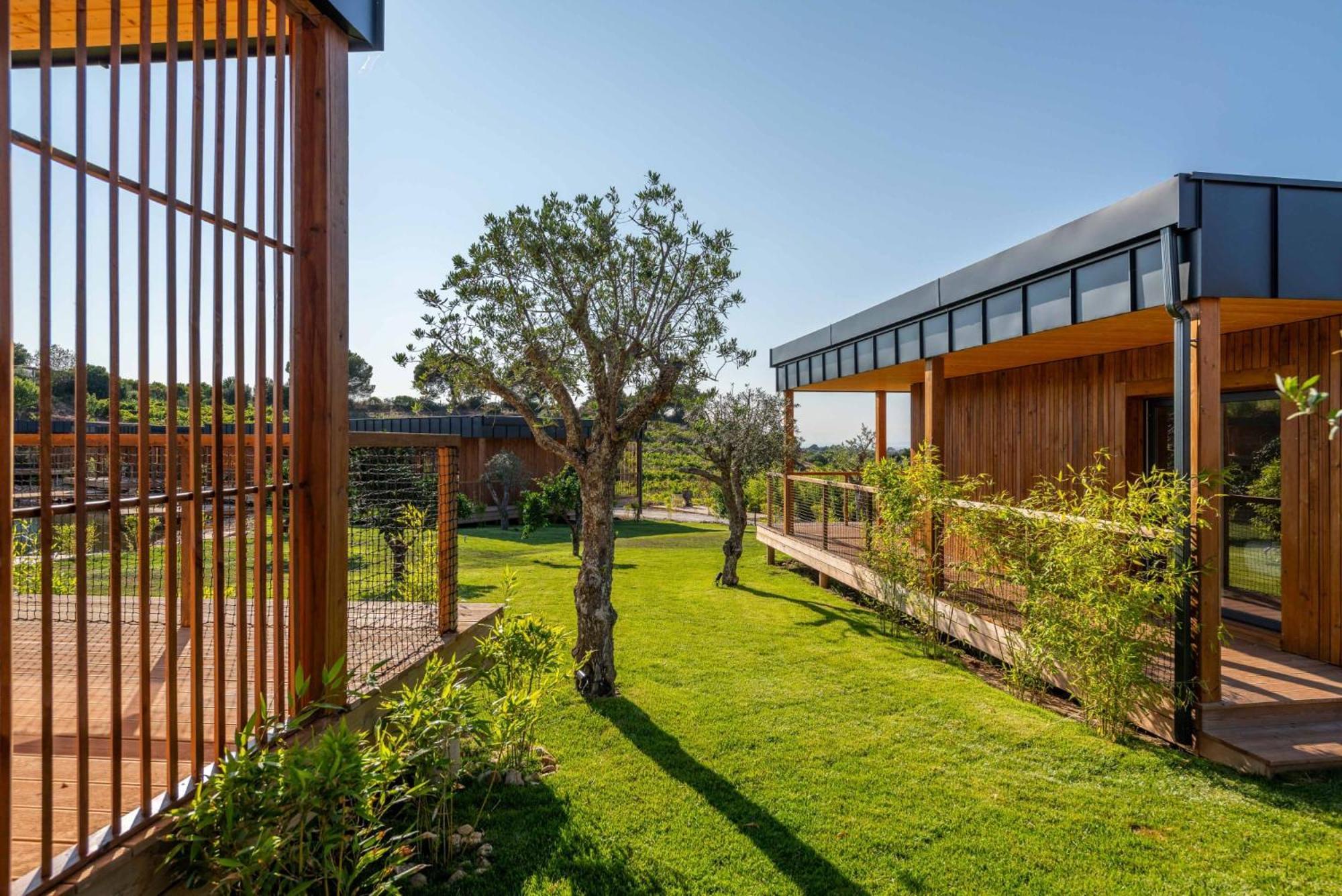 Wecamp Reserva Alecrim Santiago do Cacem Exterior photo